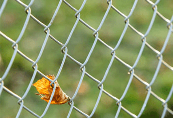 chain link panel