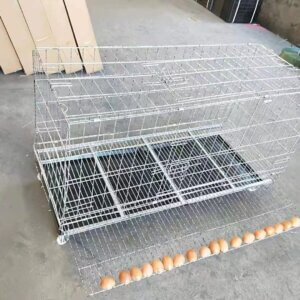 cage à poulet