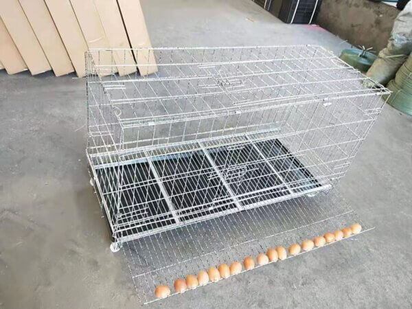 chicken cage